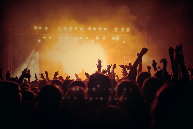 ミセスのライブでタオルは必要?